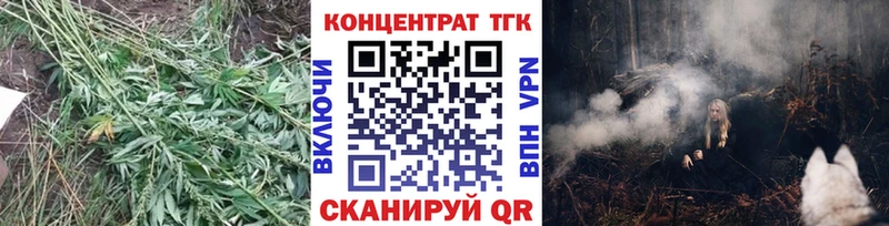 наркота Ленинградская shop формула ТГК концентрат