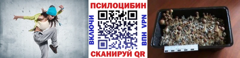 shop официальный сайт  Ленинградская  OMG ссылки  Галлюциногенные грибы Psilocybe  наркота 